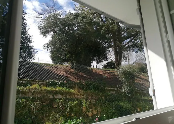 Apartment Douillet Proche Arcachon