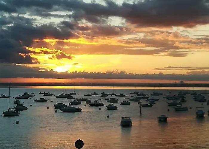 Douillet Proche Apartment Arcachon